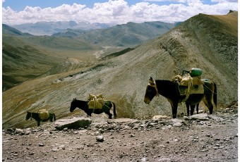 Ladakh landscape